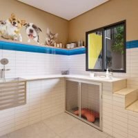 Orbi Saúde - Pet care Orbi Saúde - Pet care