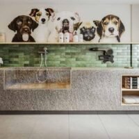 Mood Vila Matilde - Pet care Mood Vila Matilde - Pet care