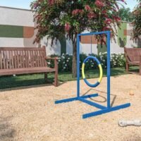Mood Vila Matilde - Pet place Mood Vila Matilde - Pet place